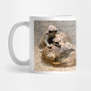 Meercat Family Mug